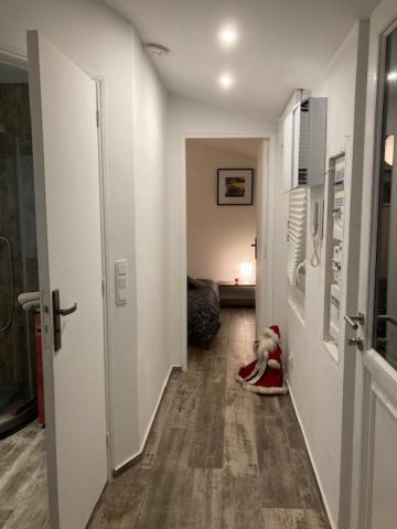 Appartement Mozart 斯特拉斯堡 外观 照片